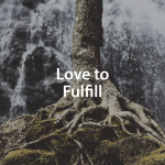 Roots of a tree in front of a waterfall with a title over top.