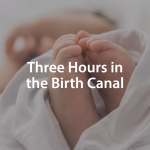 A baby's feet in a blanket with the title "Three Hours in the Birth Canal"