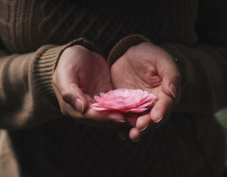 Hands Holding a Flower Healing