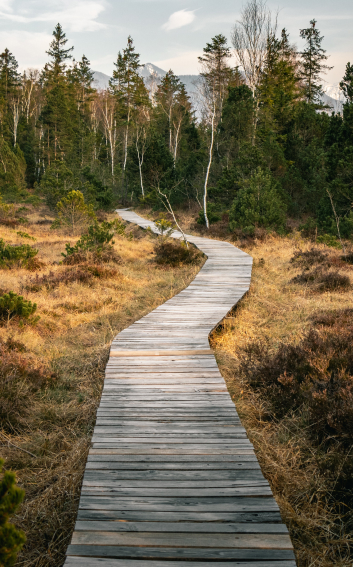 Wooden Hiking Path for your Journey