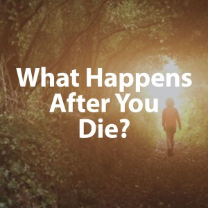 Child in the Forrest What Happens After You Die