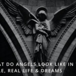 What Do Angels Look Like?
