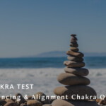 Chakra Test
