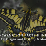 Reincarnation Facts & Info