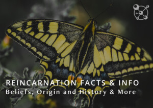 Reincarnation Facts & Info