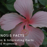 Hypnosis Facts