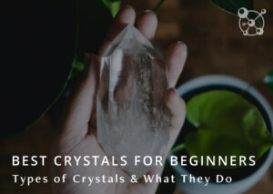 Crystals for Beginners