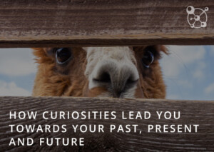Curiosities Lead You