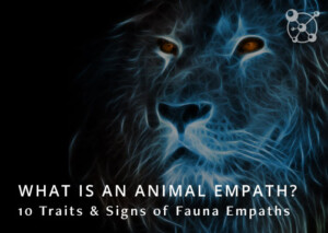 Animal Empath Signs