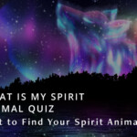 What is My Spirit Animal