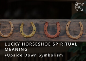 Lucky Horseshoe Spiritual Meaning