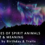 Spirit Animals List