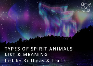 Spirit Animals List