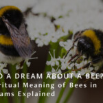 Spiritual Meaning of Bees in Your Dreams