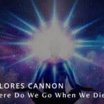 Where Do We Go When We Die